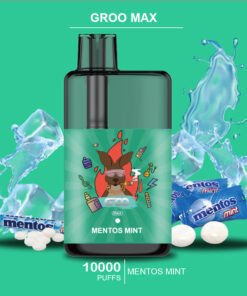 GROO MAX – MENTOS MINT – 10000 PUFFS