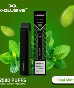 X-QLUSIVE COOL MINT – 2500 PUFFS