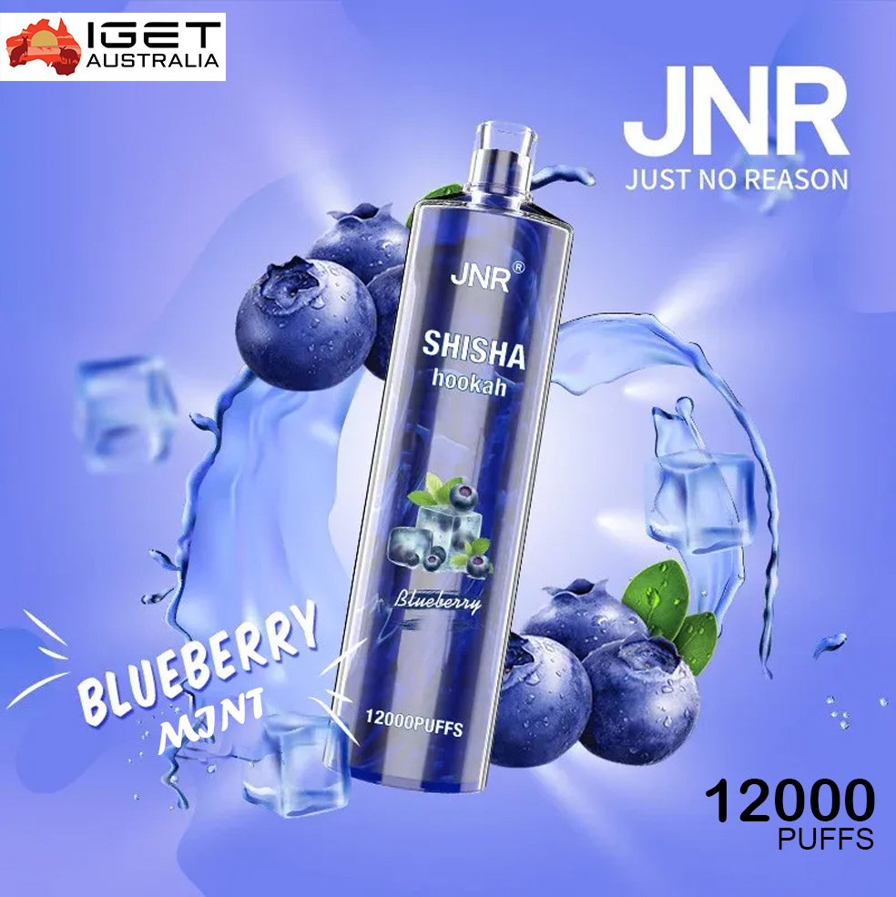 JNR SHISHA HOOKAH – BLUEBERRY MINT – 12000 PUFFS