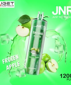 JNR SHISHA HOOKAH – FROZEN APPLE – 12000 PUFFS
