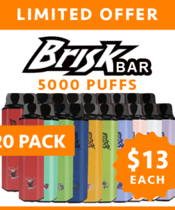 BRISK BAR – 5000 PUFFS – 20 PACK