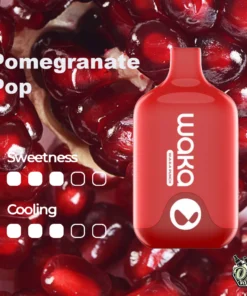 WAKA SMASH POMEGRANATE POP – 6000 PUFFS